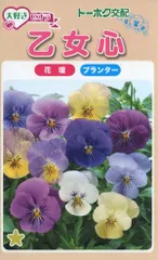 花種子 大好きビオラ 乙女心のサムネイル