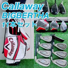 ゴルフクラブ フルセット アーノルドパーマー入り 初心者 メンズ H3989
