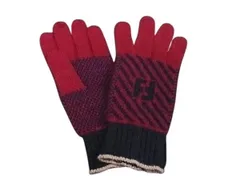 FENDI フェンディ グローブ FFロゴ ワインレッド系×ネイビー系 ウール60%×アンゴラ20%×ナイロン20% レディース 新品未使用展示品のサムネイル