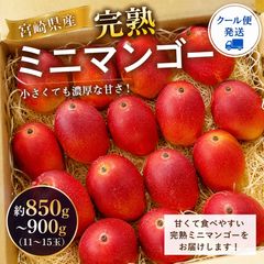 沖縄県産ミニマンゴー 2kg(28〜35玉) - メルカリ