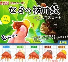 2026年最新】抜け殻 セミの人気アイテム - メルカリ