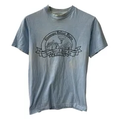 80s Hanes 半袖 プリントTシャツ S ライトブルー ヘインズ プルオーバー 80年代 コットンポリ カットソー 夏物 a806-5457のサムネイル