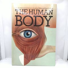 ビンテージ洋書】THE HUMAN BODY 仕掛け絵本 飛び出す絵本 人体