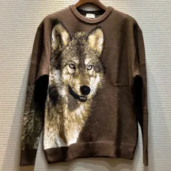 エトロ ETRO 23AW アニマル ニット セーター プルオーバー 茶 ブラウン 長袖 [M] メンズ H51/T55のサムネイル