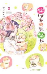 시바바후 콩시바타 3/야마모토 요우코
