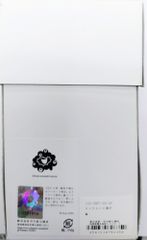 ☆箱入り新品未開封☆ スター☆トゥインクルプリキュア設定資料集