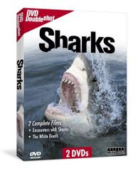 SHARK DVD-BOX〈4枚組〉通常版 - メルカリ