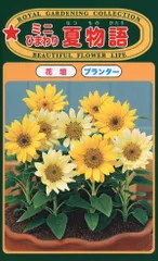 花種子 ミニひまわり 夏物語 トーホクのタネのサムネイル