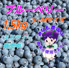 ☆令和8年産 生ブルーベリー☆農薬不使用 2㌔ 絶好調さん専用 - メルカリ