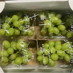 ❣️大特価❣️福岡or熊本県産 シャインマスカット 12パック入 - メルカリ