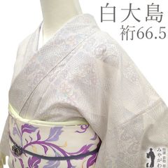 夏着物(付け下げ) (絽 手描き四季の花文様 未使用 裄66.5㌢) - メルカリ