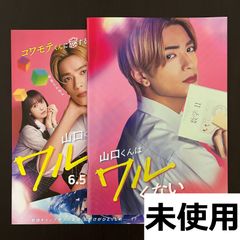 映画 プロジェクト・ヘイル・メアリー 入場者特典 ロッキー観察日誌
