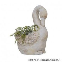 PNG パプアニューギニア トロブリアンド諸島産 ライムポット 石灰入れ 