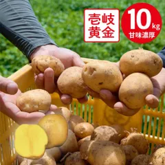 2026年最新】ながさき黄金 じゃがいもの人気アイテム - メルカリ