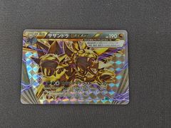PC ポケモンカード サザンドラBREAK RR 043/054 XY11 1st Edition