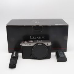 2/18まで値下げ］LUMIX S9 ダークシルバー【ボディのみ】 - メルカリ