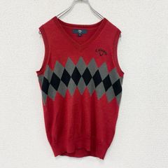 古着 used 80s SIGNAL シグナル 半袖プリントTシャツ 赤色 Mサイズ 