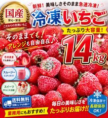 特殊冷凍イチゴ訳あり10kg 特殊冷凍イチゴ訳あり10kg - メルカリ