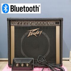 EDEN WTX-264 ベース用アンプ 本体 （ジャンク） - メルカリ