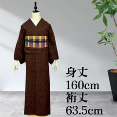 単衣　結城紬　正倉院更紗　正絹　本場真綿絢結城紬　証紙付き　oktのサムネイル