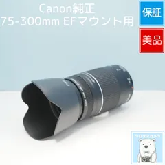 Canon純正 75-300mm EFマウント用 望遠レンズ 美品 a6696のサムネイル