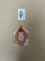 新品】キンプリ popup STARRING ご当地限定アクリルキーホルダー