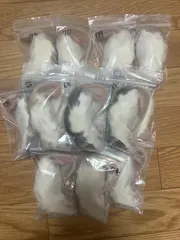 冷凍ラットのサムネイル