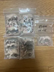 冷凍ピンクラットM 22匹のサムネイル