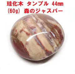 珪化木　タンブル　44mm　(60g)　森のジャスパー　木の化石　インテリア　コレクションのサムネイル