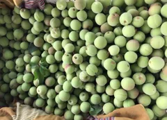 るるさま専用　青梅小梅  1キロクール便のサムネイル