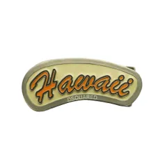 ディースクエアード DSQUARED2 バックル ロゴ Hawaii シルバーカラー アイボリー /SS ■OS ■GY18のサムネイル