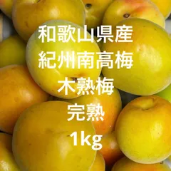 和歌山県産 紀州南高梅 木熟梅 1kgのサムネイル
