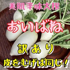 岡山県産 辛味大根 1kg 無肥料 ミニサイズ - メルカリ