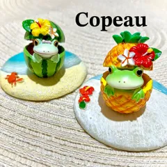ダイカイコポー《Copeau》★新作★フルーツSETのサムネイル