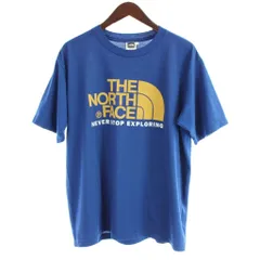 ザノースフェイス THE NORTH FACE TEK TEE Tシャツ L 青 ブルー 半袖 クルーネック ロゴプリント NT32431 /AP