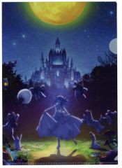 CD 특전 극장판 Fate/stay night Heaven's Feel Ⅱ 클리어 파일