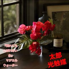 光触媒 観葉植物 ウォールグリーン フェイクグリーン マジカル