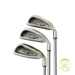 キャロウェイ アイアン 3本 右 カーボン Callaway BIG BERTHAのサムネイル