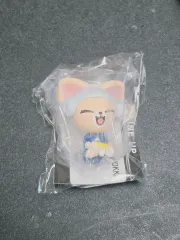 Stray Kids(ストレイキッズ・スキズ・SKZ) SKZOO サウナ FoxI.Ny ガチャ