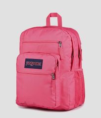 JANSPORT スパイダーマン リュック【商品説明絶対読んで！】 - メルカリ