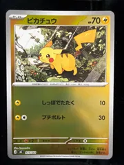 2026年最新】ピカチュウ 225 / 742の人気アイテム - メルカリ