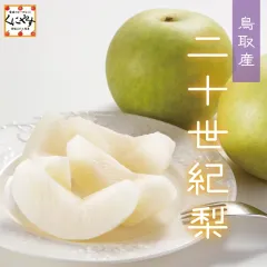 ★果汁の多さは梨の中でトップクラス★【予約品】9月上旬～中旬発送【送料無料】【ギフト】【贈答用】鳥取産 二十世紀梨 青梨の代表品種 ２０世紀梨 約5kg（12～16玉入り）「二十世紀梨」梨 ナシ お取り寄せ 和梨のサムネイル