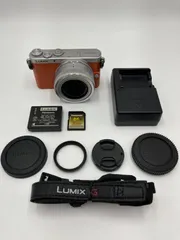 2026年最新】lumix gm1 12-32の人気アイテム - メルカリ