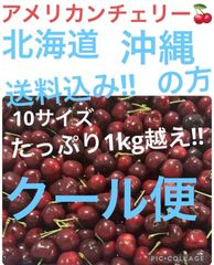 アメリカ 9R チェリー 3キロ クール便 - メルカリ