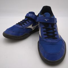 Mizuno FIELD GEO TH スローイング ブルー27.0cm - メルカリ