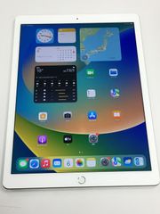 iPad Pro 12.9インチ 第2世代 256GB Wi-Fi セルラー - メルカリ