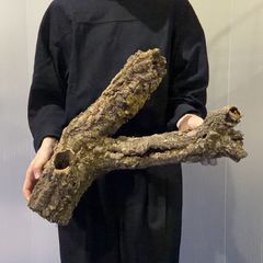 ③超特大巨大筒コルク　コルク樹皮　コルクチューブ 爬虫類　ビカクシダ　チランジア ④超特大巨大筒コルク コルク樹皮 コルクチューブ 爬虫類 ビカクシダ
