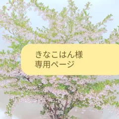 きなこはん様 専用ページ 同梱用