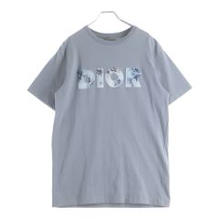 ディオール ペイント加工 Tシャツ グレー M 21ss - メルカリ