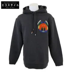 LOEWE　ロエベ　xLouis Wain ルイスウェイン【国内正規】H526Y25J37 プルオーバー パーカー/　Lのサムネイル